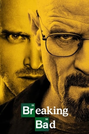 Breaking Bad Temporada 5 Capitulo 7