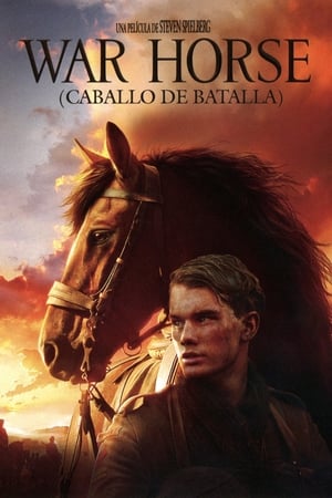 Caballo De Batalla