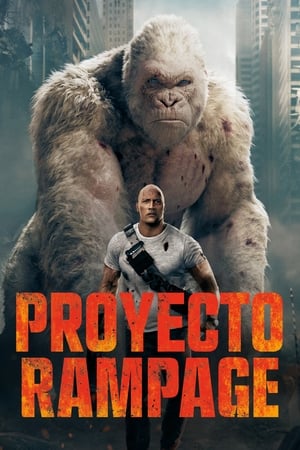 Proyecto Rampage