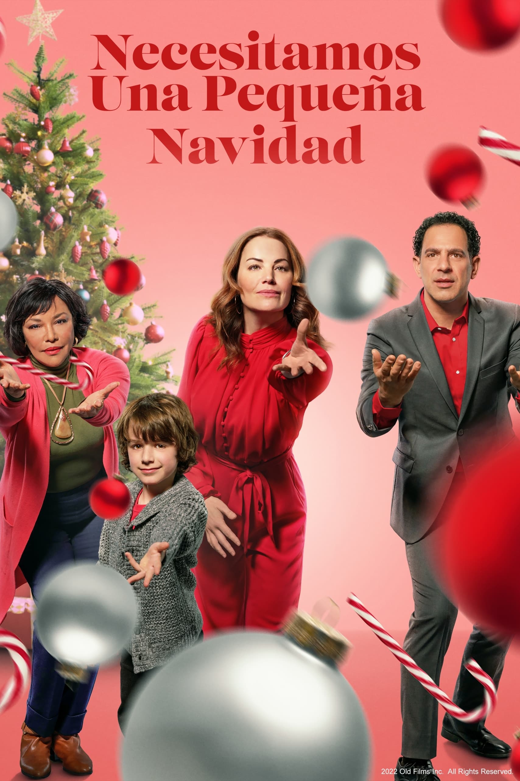 Necesitamos Una Pequena Navidad