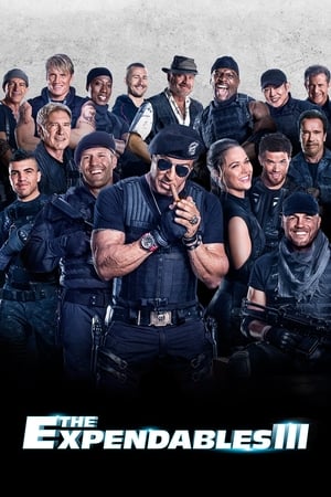 Los Mercenarios 3