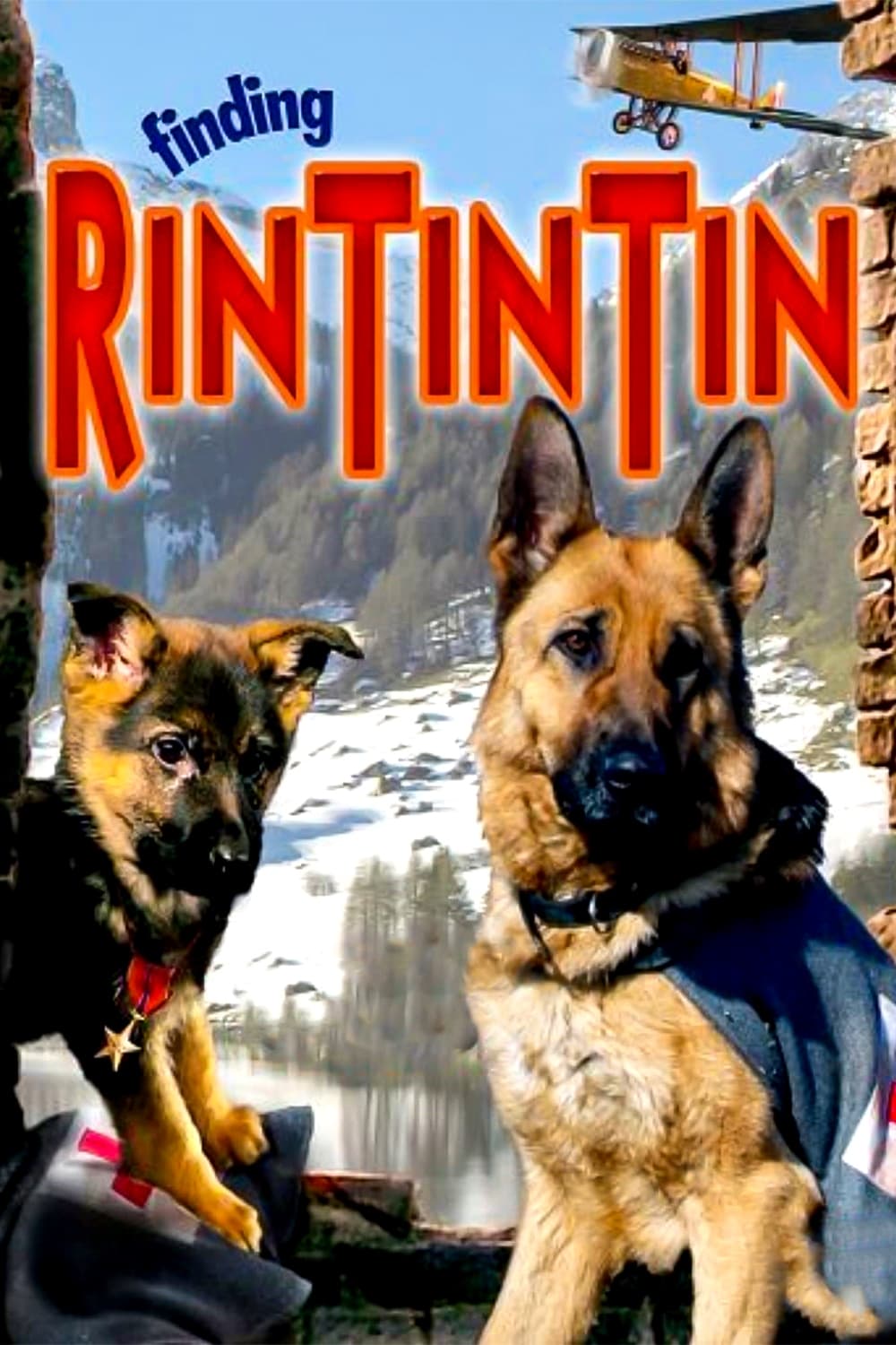 Las Nuevas Aventuras De Rin Tin Tin