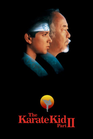 Karate Kid Ii La Historia Continua