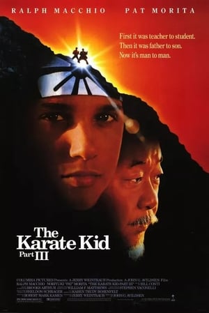 Karate Kid Iii El Desafio Final