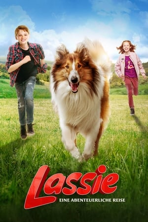 Lassie Vuelve A Casa