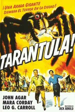 Tarantula