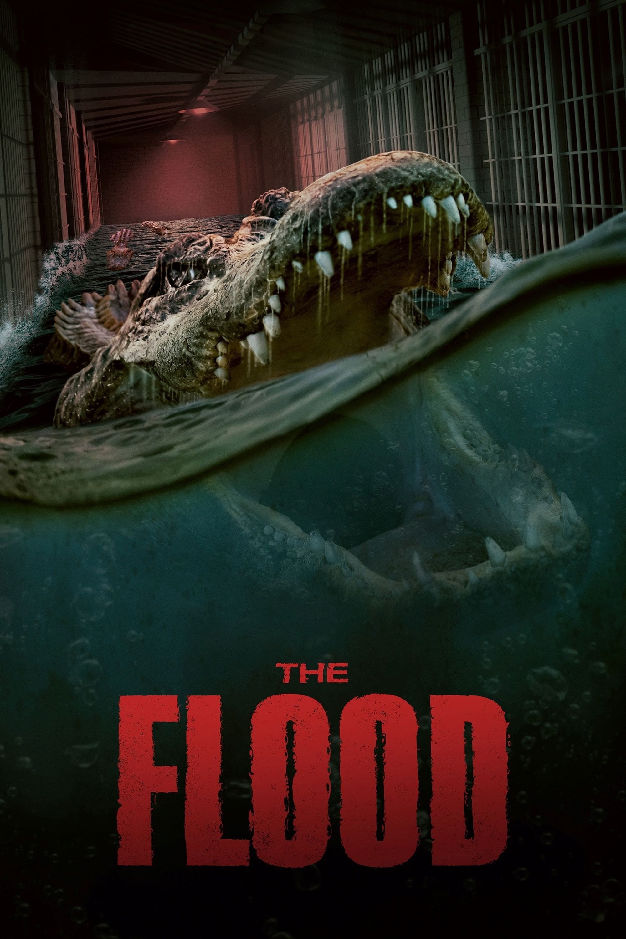 The Flood 1006462