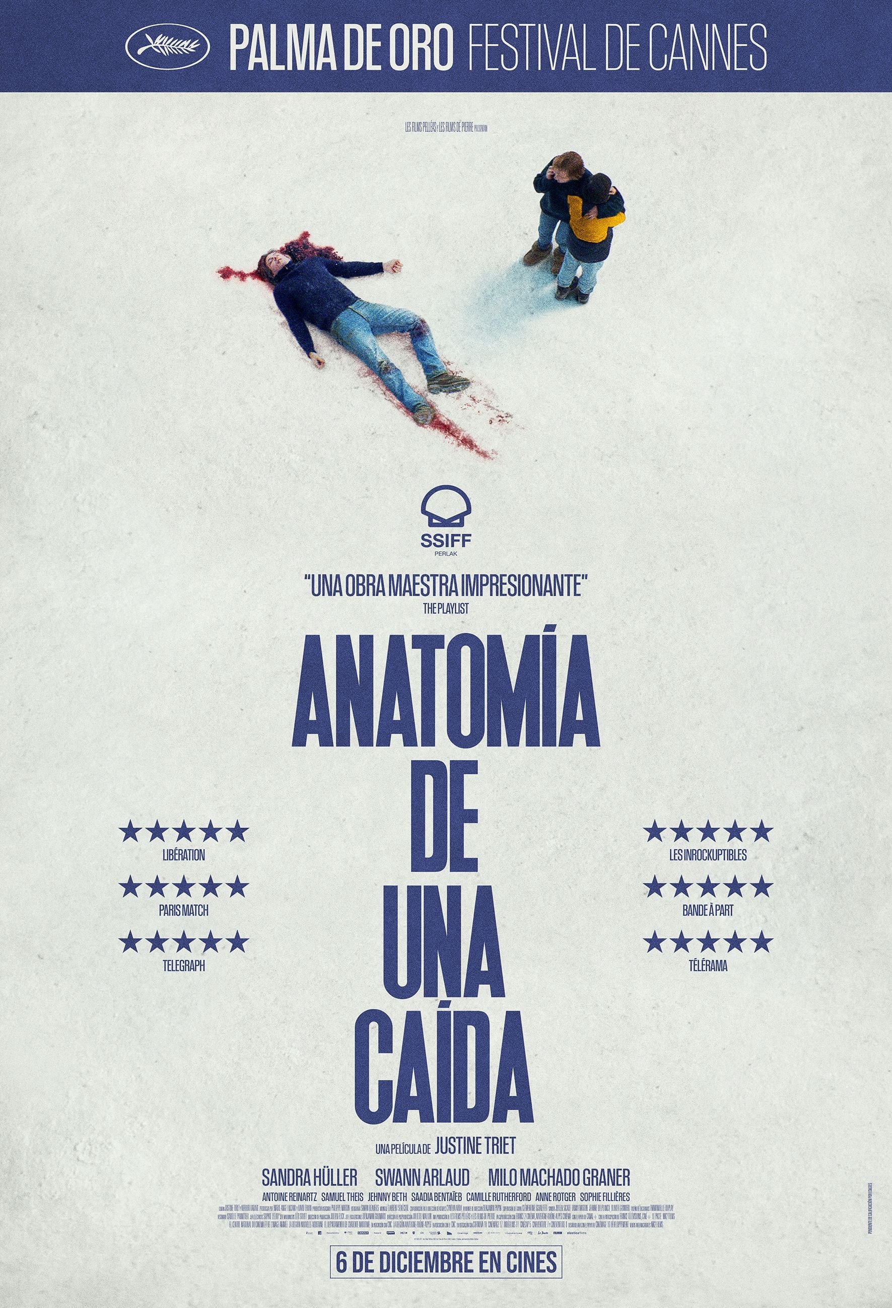 Anatomia De Una Caida