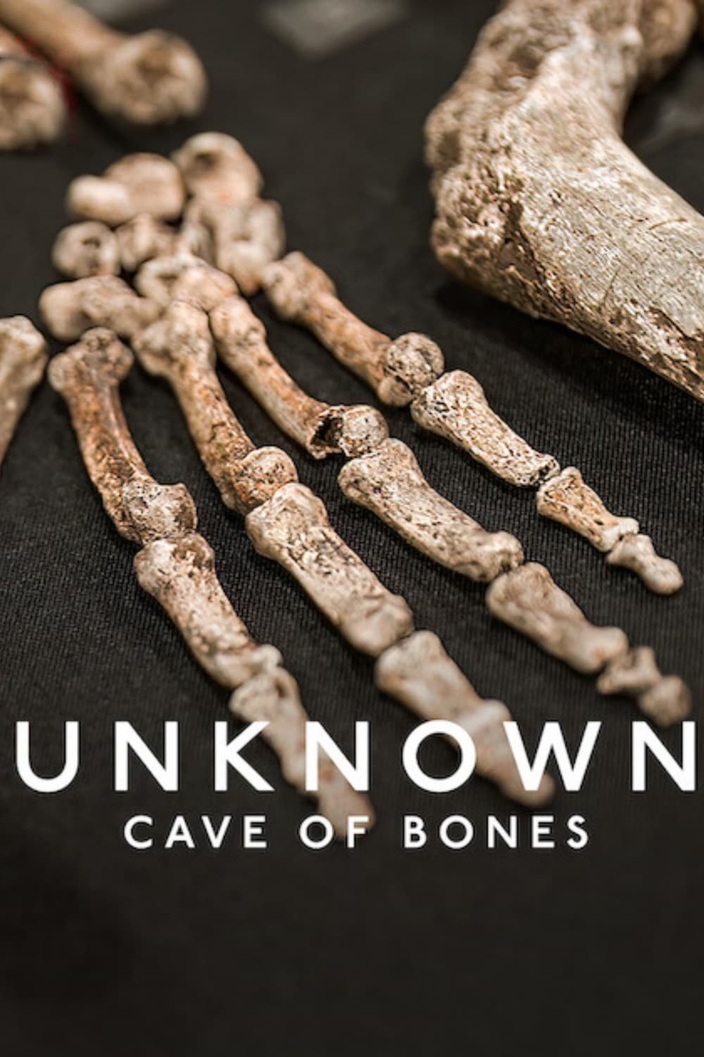 Unknown Cave Of Bones